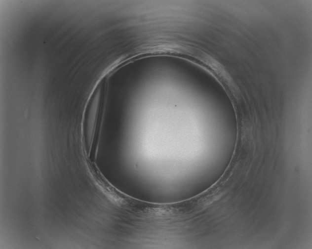 X0000073951234200609051744