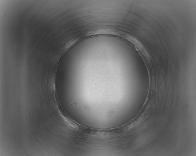 X0000073951241200609051744