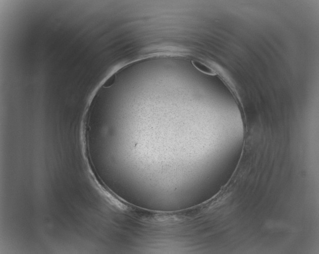 X0000073951243200609051744