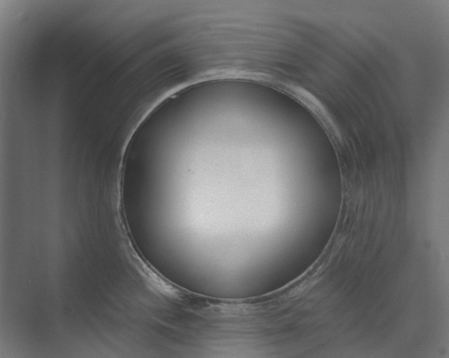 X0000073951244200609051744