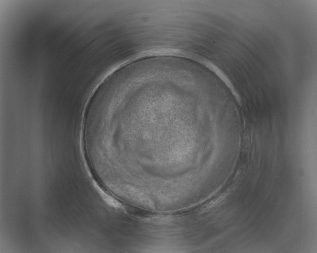 X0000073951245200609051744