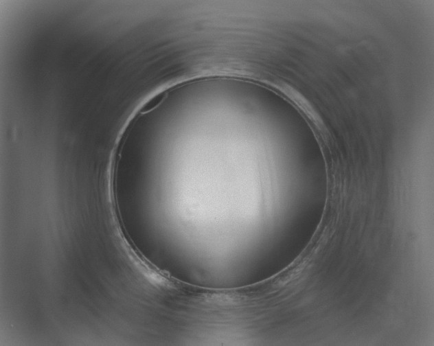 X0000073951246200609051744