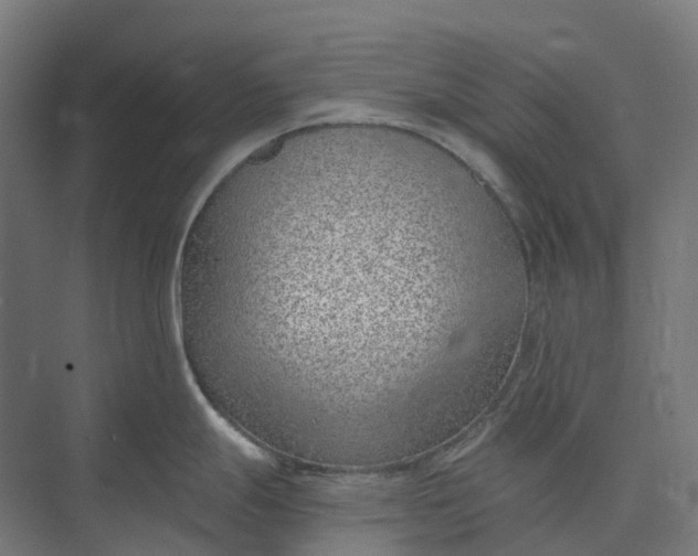 X0000073951247200609051744