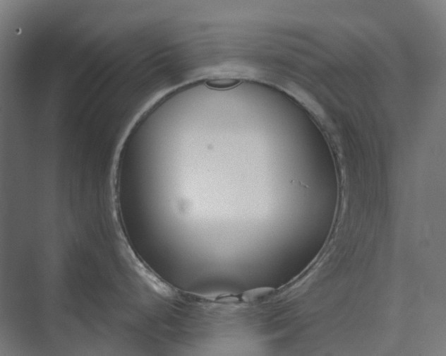 X0000073951248200609051744