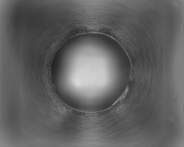 X0000073951249200609051744