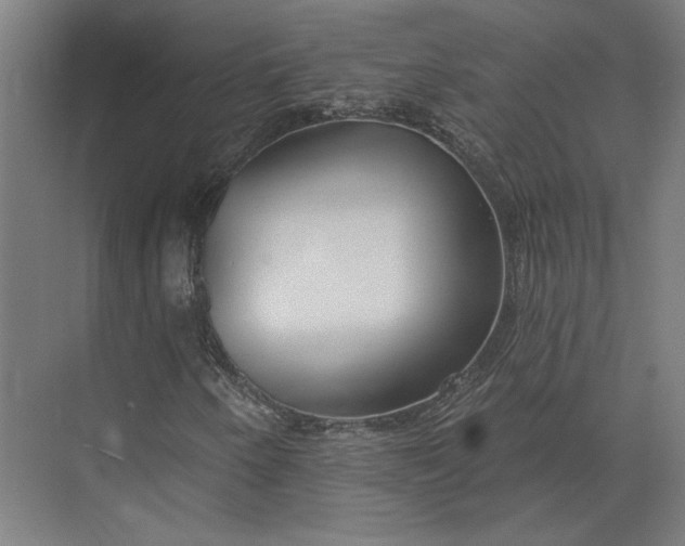 X0000073951250200609051744