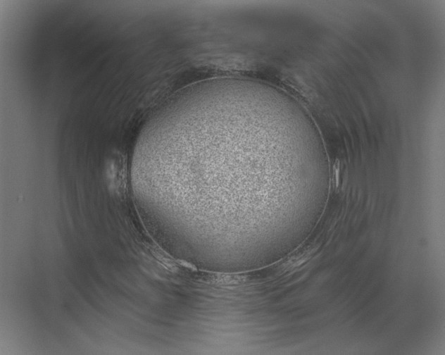 X0000073951251200609051744