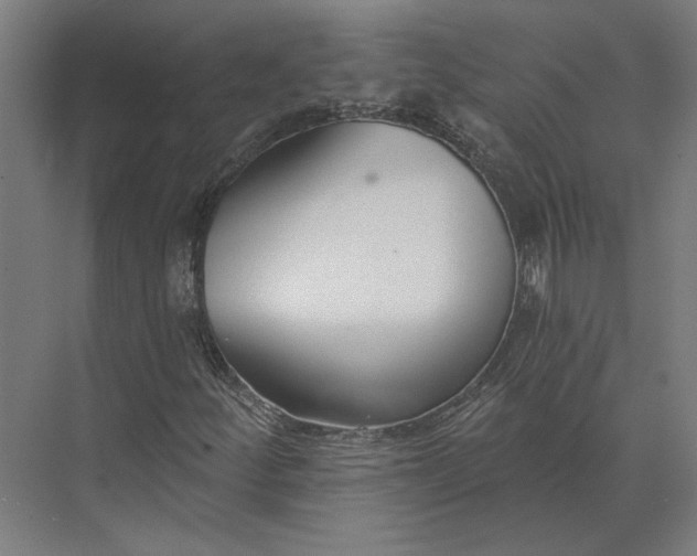 X0000073951252200609051744