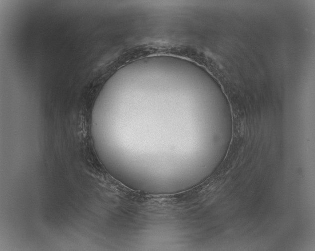 X0000073951253200609051744