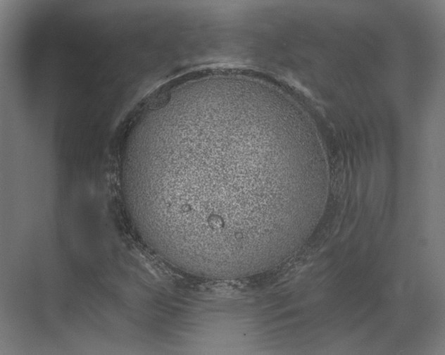 X0000073951255200609051744