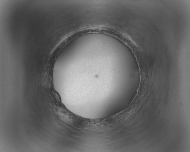 X0000073951256200609051744