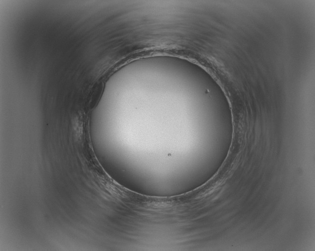 X0000073951257200609051744