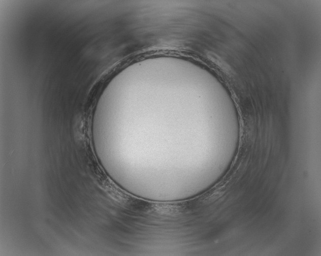 X0000073951258200609051744