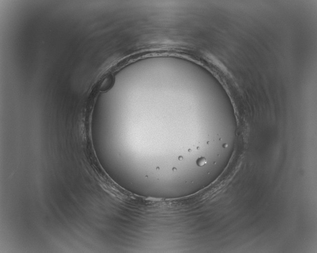 X0000073951259200609051743