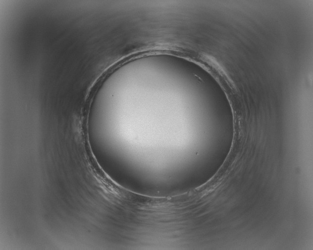 X0000073951260200609051743