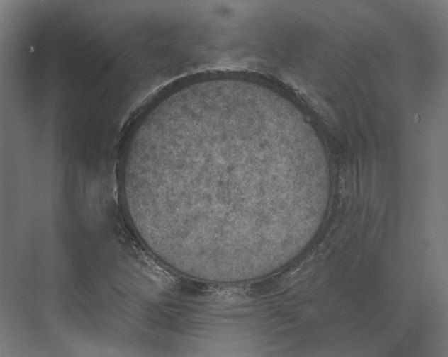 X0000073951262200609051743