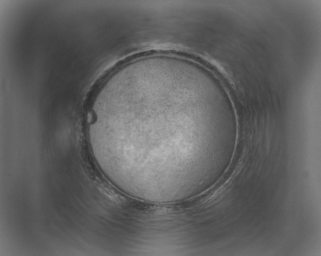 X0000073951263200609051743