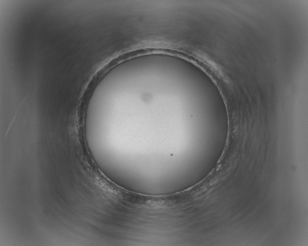 X0000073951264200609051743