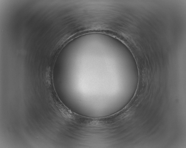 X0000073951265200609051743