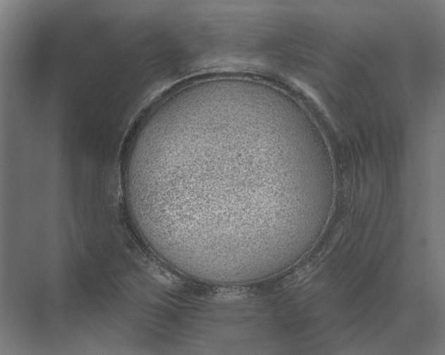 X0000073951267200609051743