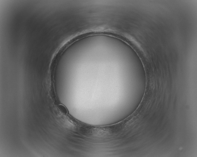 X0000073951270200609051743