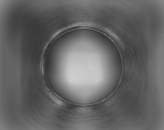 X0000073951272200609051743