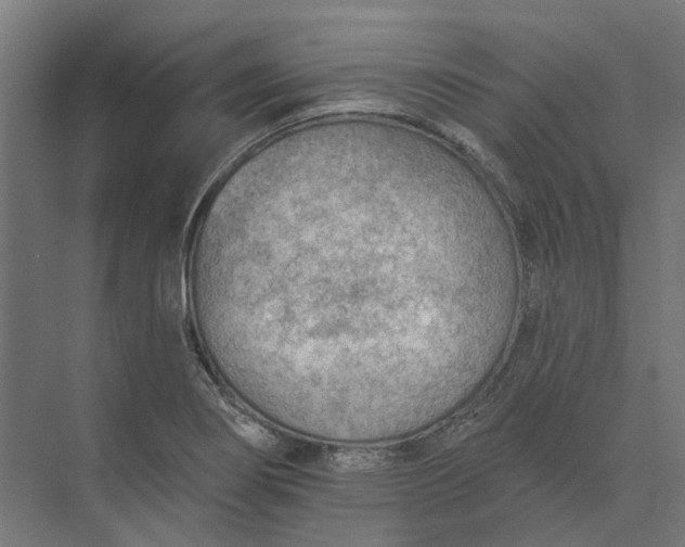 X0000073951274200609051743