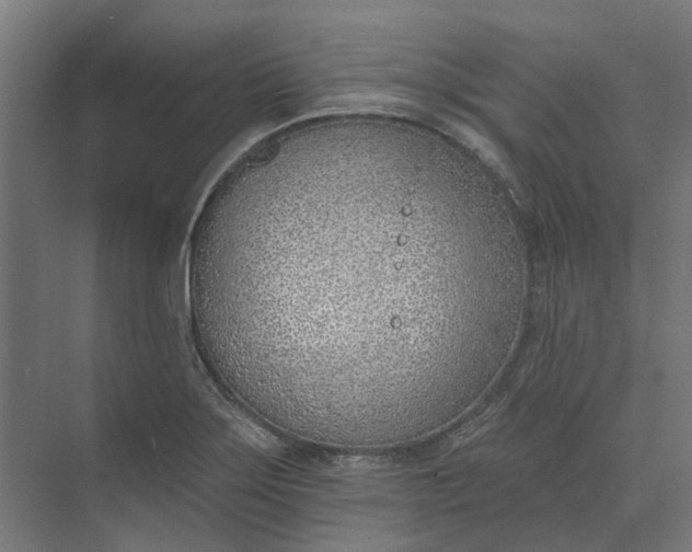 X0000073951275200609051743