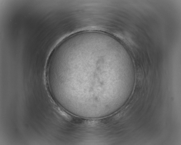 X0000073951278200609051743