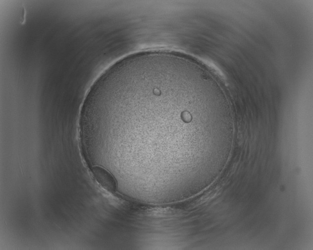 X0000073951279200609051743