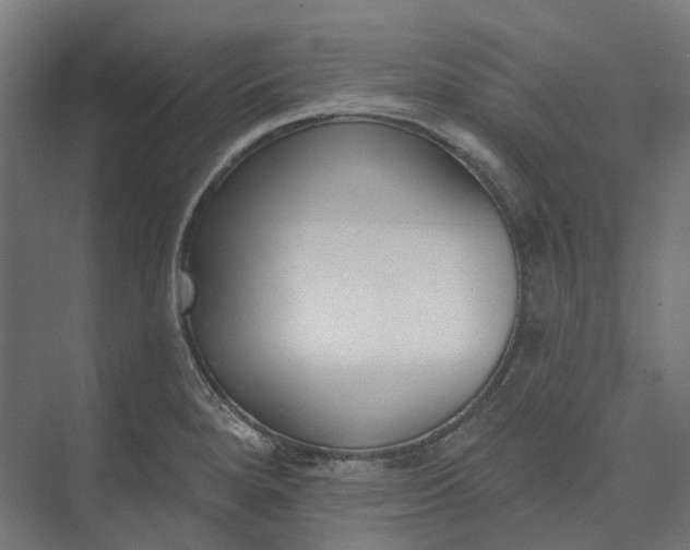 X0000073951280200609051743