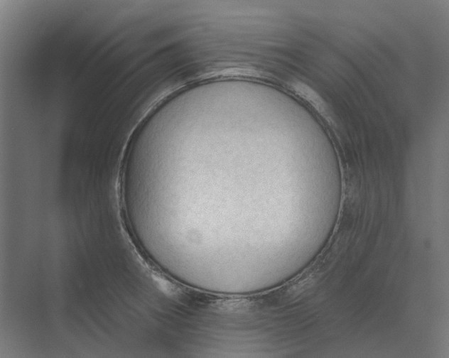 X0000073951282200609051743