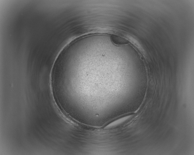 X0000073951283200609051743