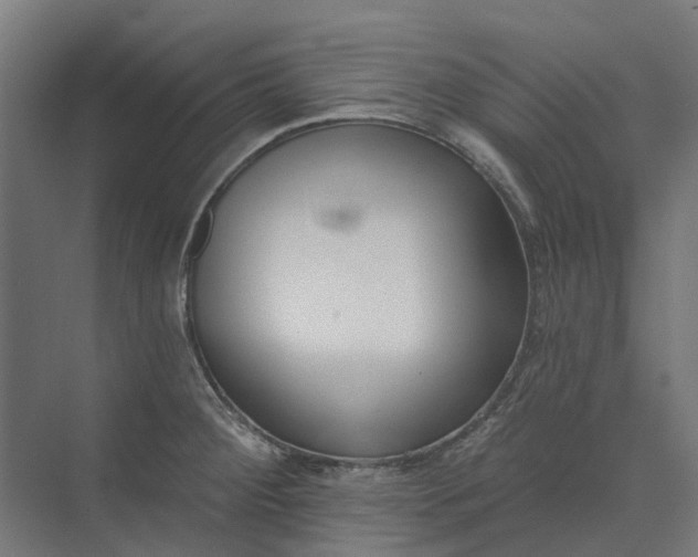 X0000073951284200609051743