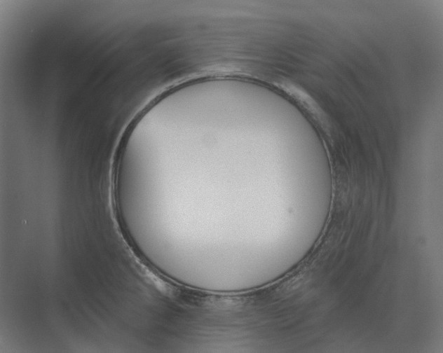 X0000073951286200609051743