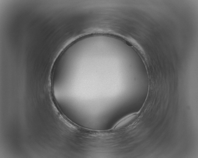 X0000073951287200609051743