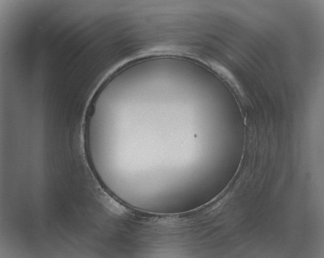 X0000073951288200609051743