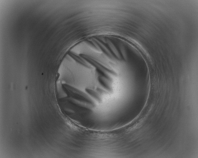 X0000073951289200609051743