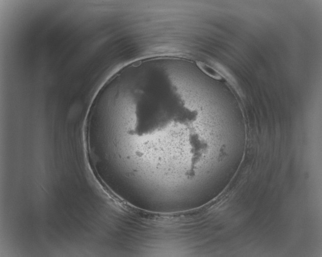 X0000073951291200609051743