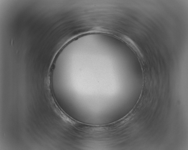 X0000073951292200609051743