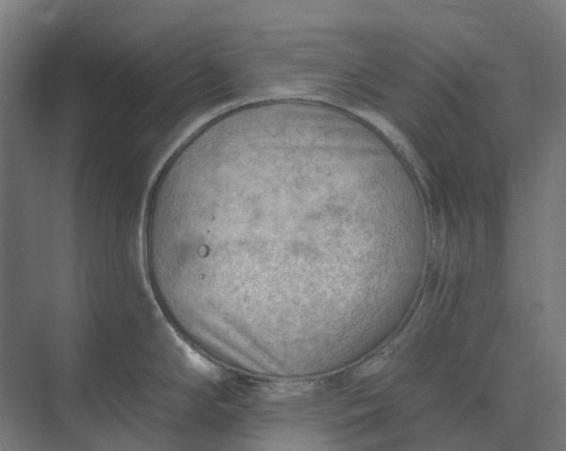 X0000073951294200609051743