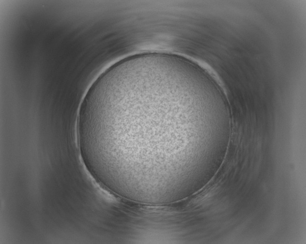 X0000073951295200609051743