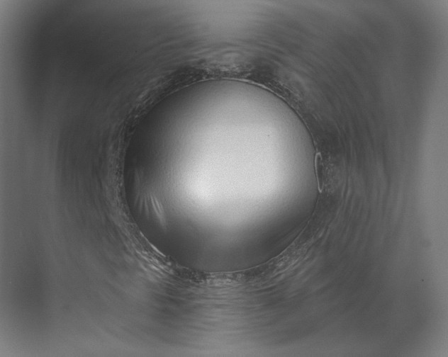 X0000073951297200609051742