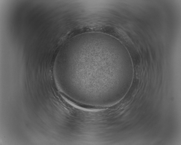 X0000073951298200609051742