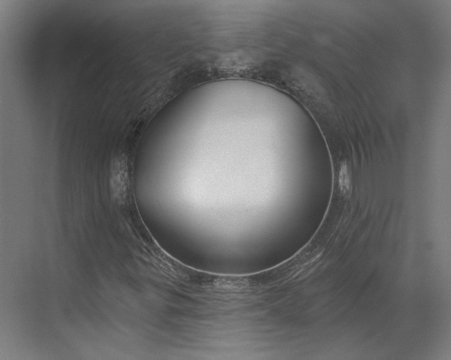 X0000073951299200609051742