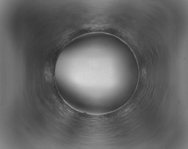 X0000073951300200609051742