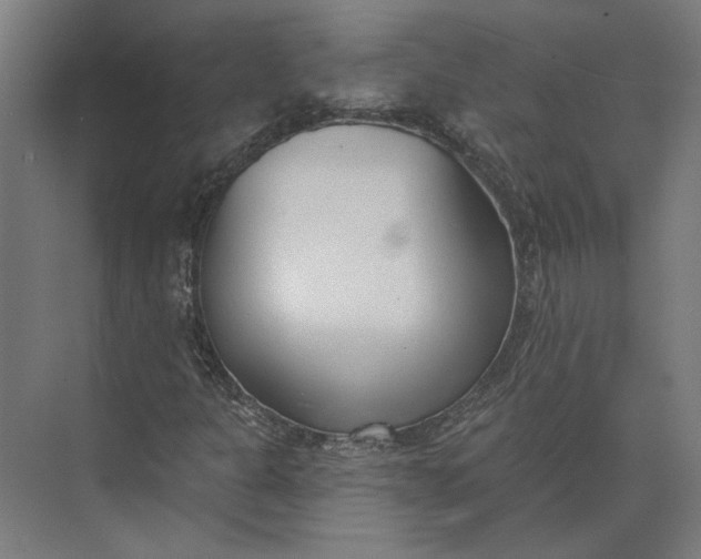 X0000073951301200609051742