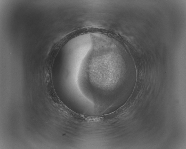 X0000073951303200609051742