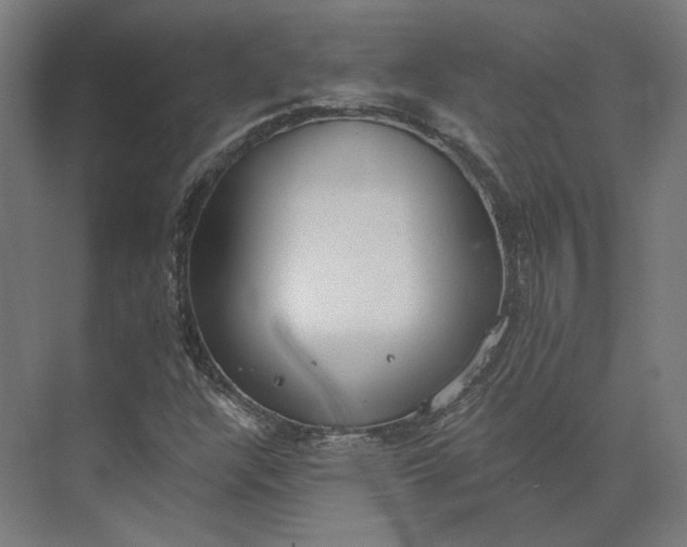 X0000073951304200609051742