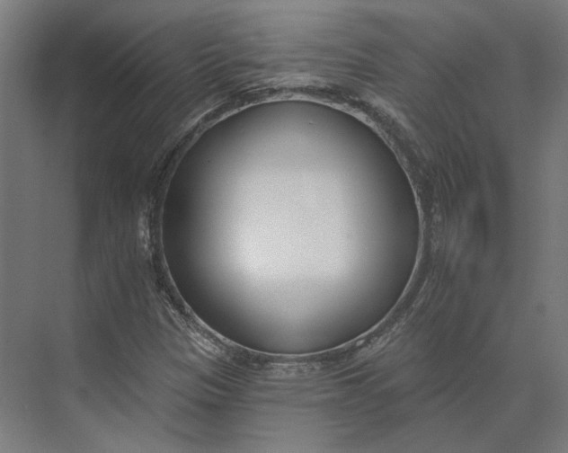 X0000073951305200609051742